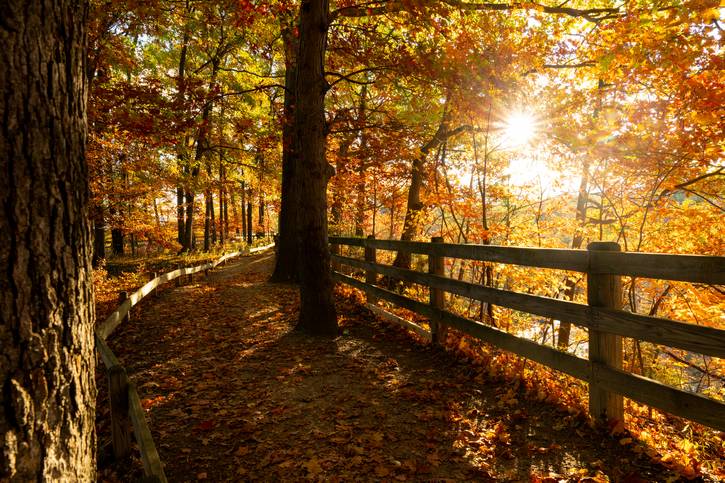 The colors in the Cavs' City Edition uniforms were inspired by the fall colors seen on a hike in the Cleveland Metroparks.